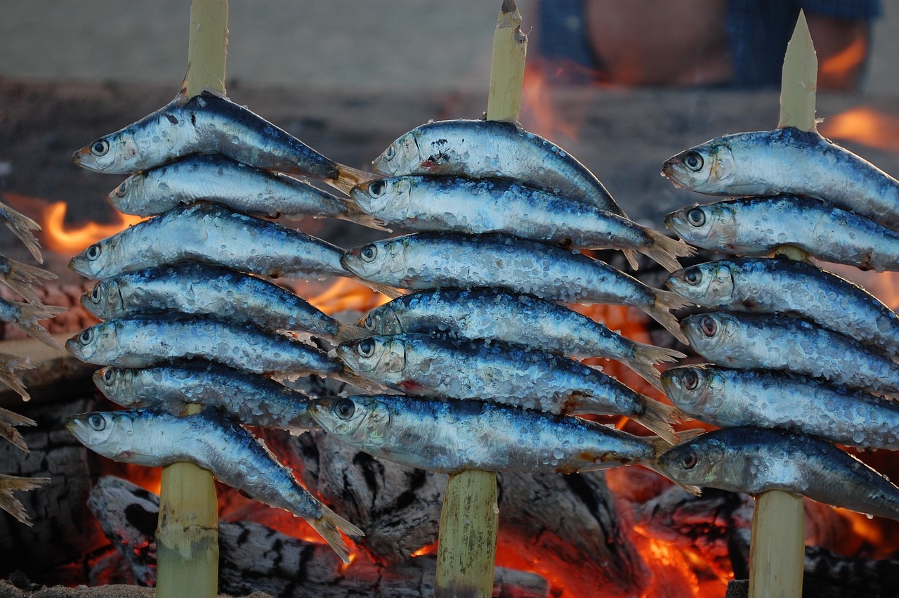 西安生態(tài)放流活動(dòng)火熱展開(kāi)，最新放魚(yú)資訊發(fā)布