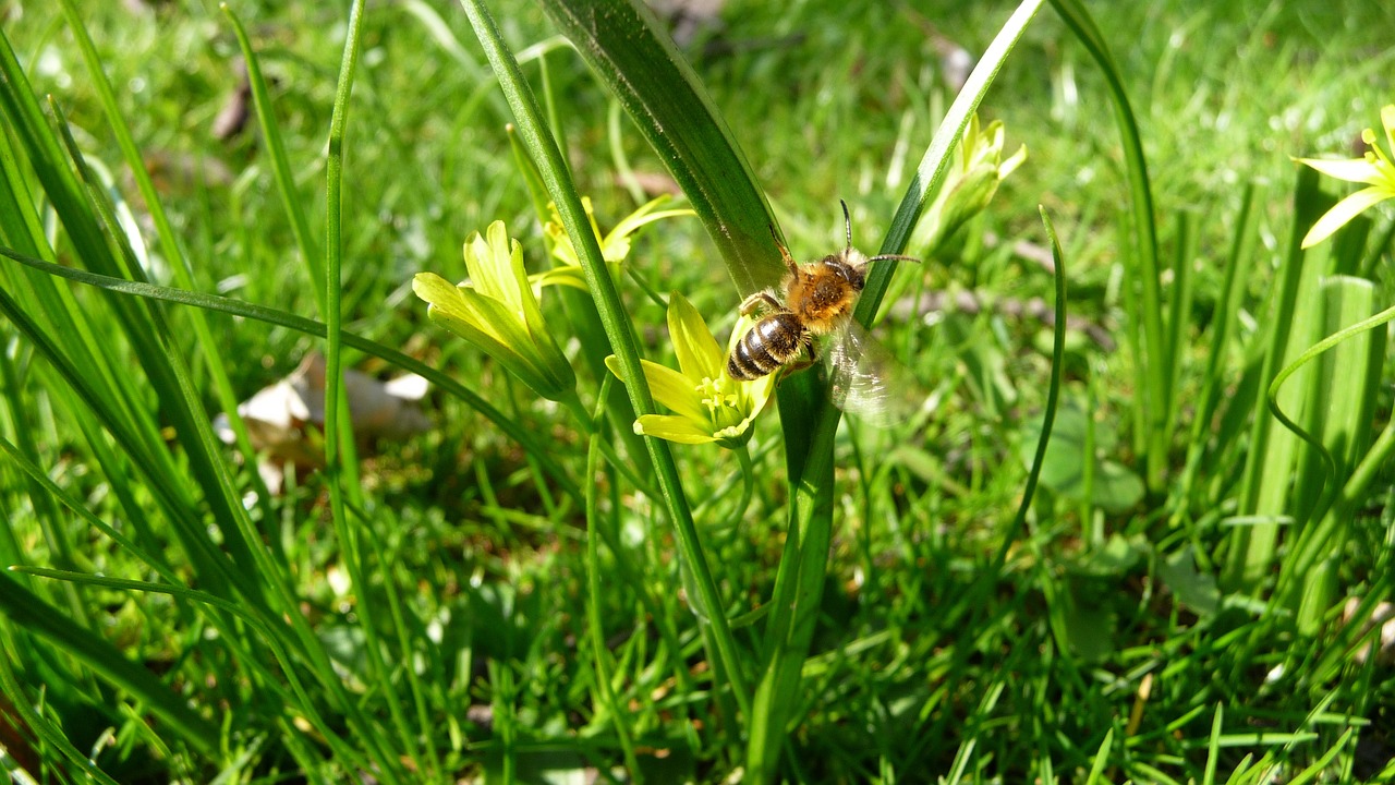 蒙草生態(tài)最新點(diǎn)評(píng)，自然之美的守護(hù)者角色凸顯