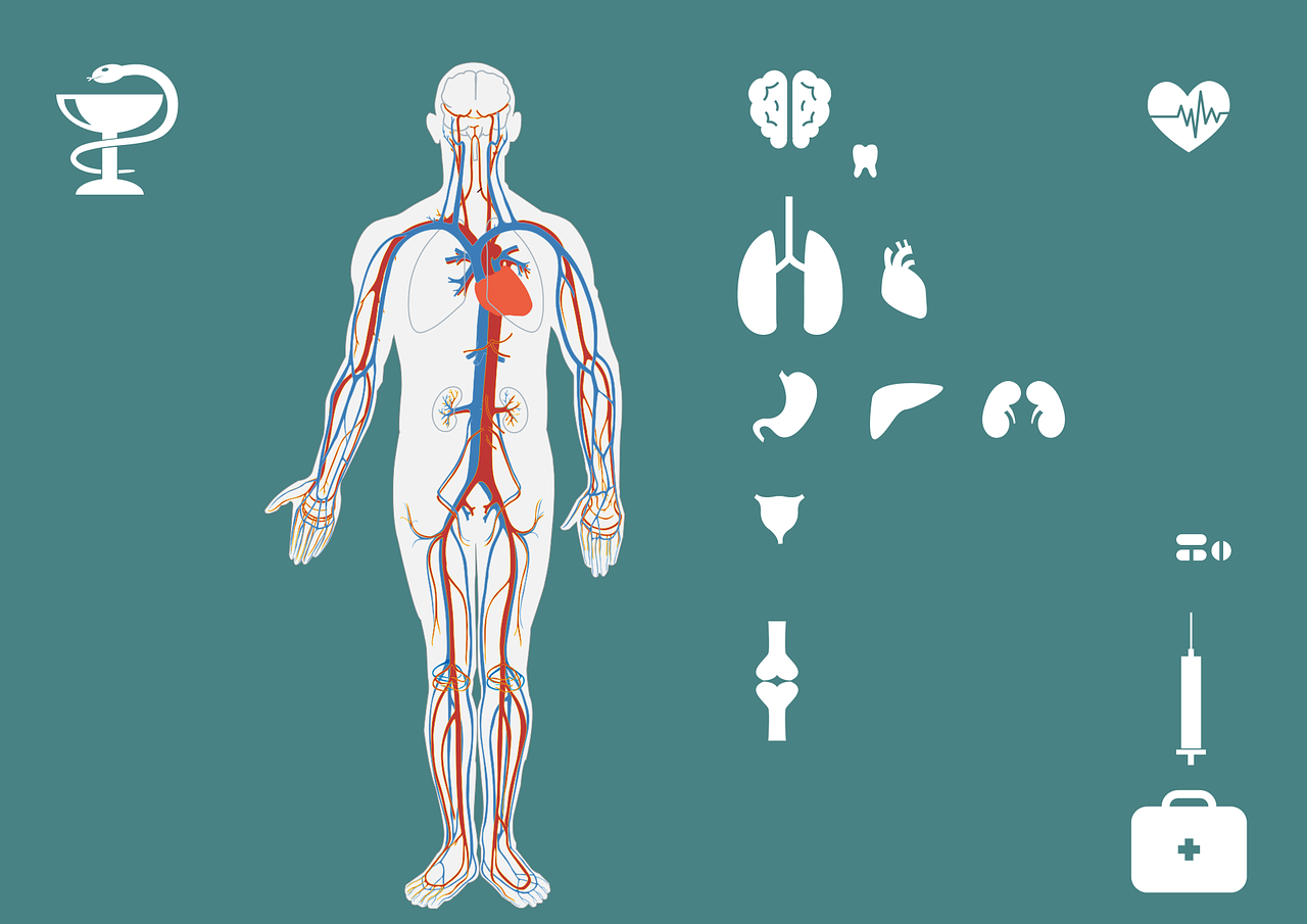 脊柱裂最新治療方法詳解，探索與理解其應(yīng)用與效果