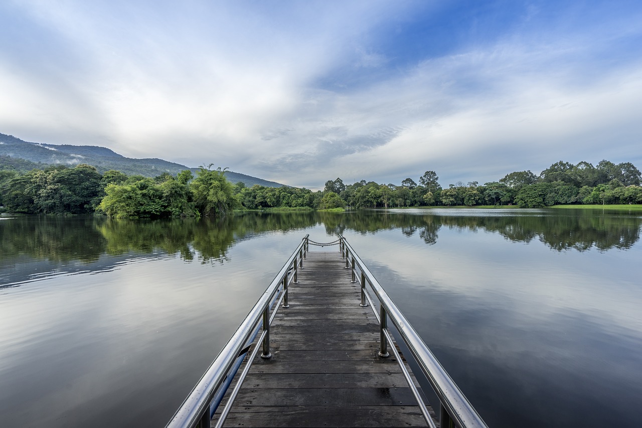 全園最新疫情，挑戰(zhàn)與應(yīng)對(duì)策略綜述